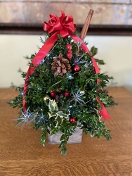 New England Boxwood Tree from Downeast Flowers in Sanford and Kennebunk, ME
