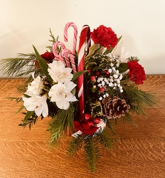 Candy Cane Delight from Downeast Flowers in Sanford and Kennebunk, ME