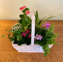 European Plant Basket  from Downeast Flowers in Sanford and Kennebunk, ME