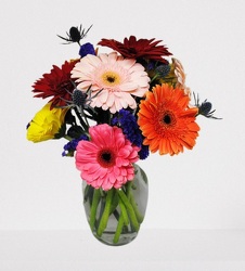 Gerbera Galore Bouquet  from Downeast Flowers in Sanford and Kennebunk, ME