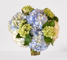 New England Hydrangea Bouquet from Downeast Flowers in Sanford and Kennebunk, ME
